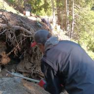 Travaux Souche Piste VTT